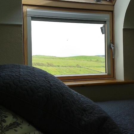 دولين Blackberry Lodge Accommodation المظهر الخارجي الصورة