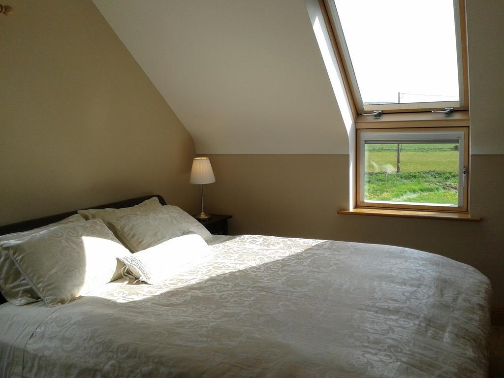 دولين Blackberry Lodge Accommodation المظهر الخارجي الصورة
