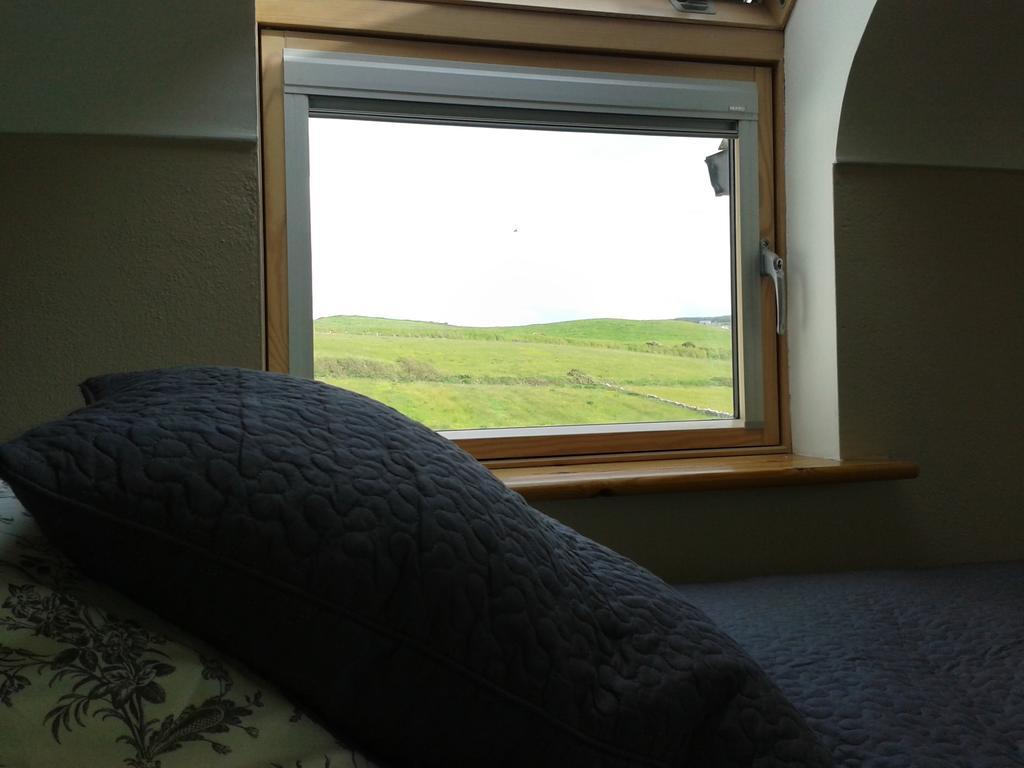 دولين Blackberry Lodge Accommodation المظهر الخارجي الصورة